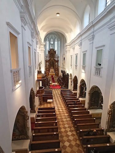 Kostel Nanebevzetí Panny Marie a svatého Václava - Znojmo