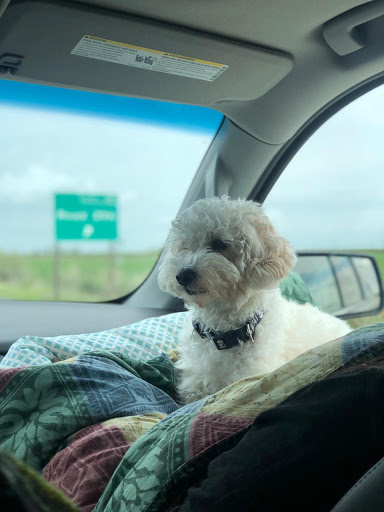 Pet Supply Store «PetSmart», reviews and photos, 17585 Southcenter Pkwy, Tukwila, WA 98188, USA