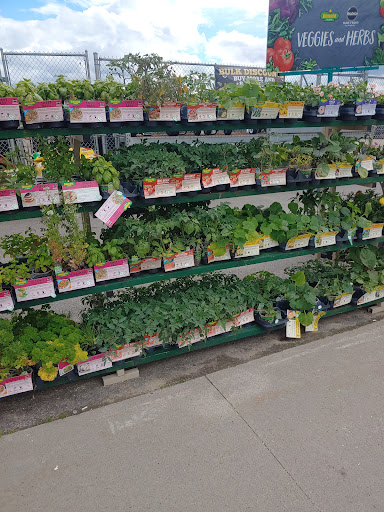 Home Improvement Store «Tractor Supply Co.», reviews and photos, 3184 US-11, Malone, NY 12953, USA