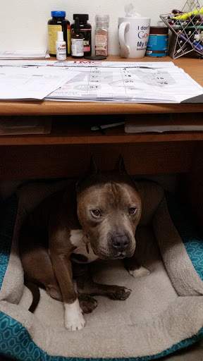 Auto Repair Shop «B&B Foreign Car Repair R & C Automotive LLC», reviews and photos, 1750 Tanen St, Napa, CA 94559, USA