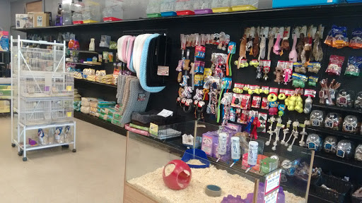 Glendora Village Pet Shop, 173 Glendora Ave, Glendora, CA 91741, USA, 