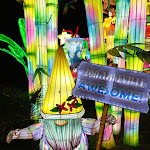 Photo n° 5 de l'avis de Fabienne.o fait le 12/02/2024 à 21:31 pour Zoo d'Amnéville à Amnéville