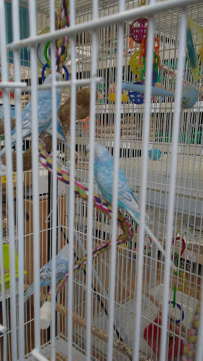 Pet Supply Store «Concord Feed Pet & Livestock Supplies», reviews and photos, 228 Hookston Rd, Pleasant Hill, CA 94523, USA