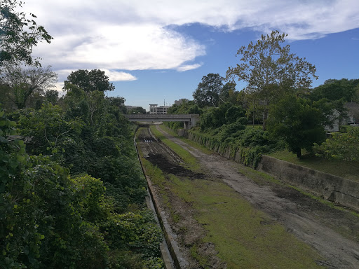 Tourist Attraction «One Tree Hill: The Bridge», reviews and photos, 694 N 6th St, Wilmington, NC 28401, USA