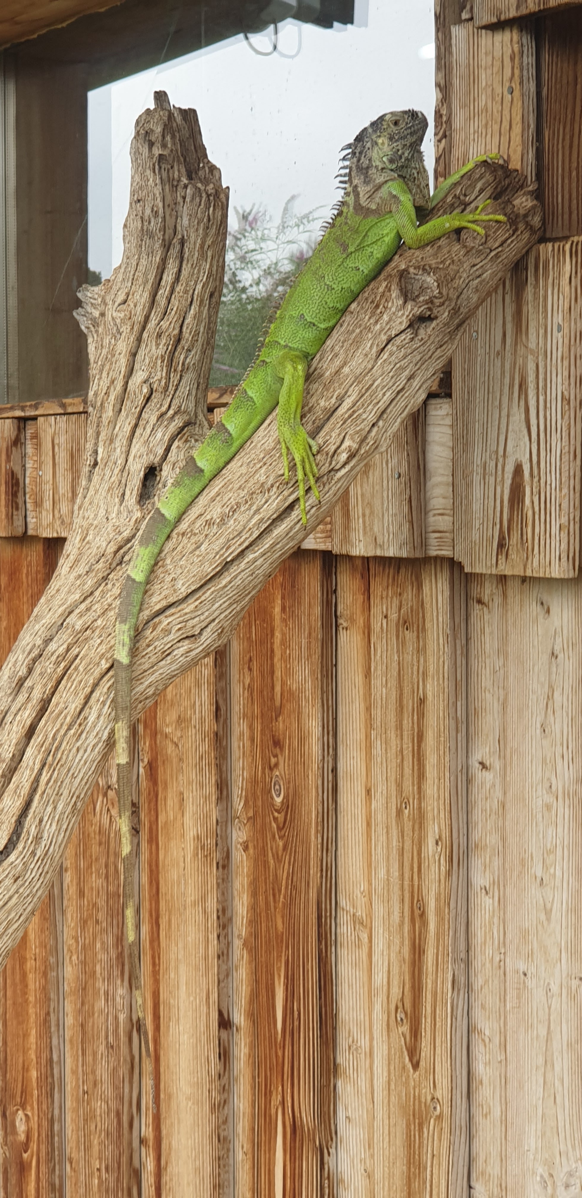 Photo n° 3 de l'avis de Solange. fait le 15/08/2021 à 14:15