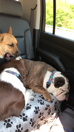 5738 Dryden Rd, Dryden, MI 48428, USA