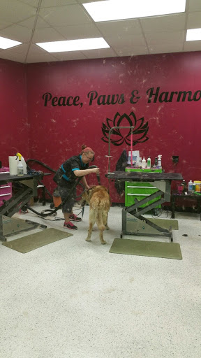 Peace, Paws & Harmony