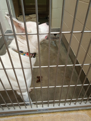 Friends of Upland Animal Shelter image