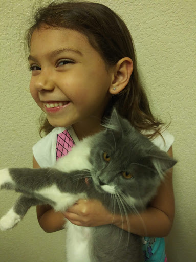 Explore chicano sleeve tattoo ideas, creative tattoo ideas in Yuba City, available at The Piercing Queen 530