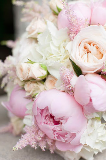 Florist «Eclectic Garden», reviews and photos, 323 Walnut St, St Charles, IL 60174, USA