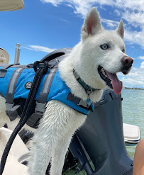 Camp Salty Dog - Photo 8 - Car repair in St. Petersburg, FL, St. Petersburg