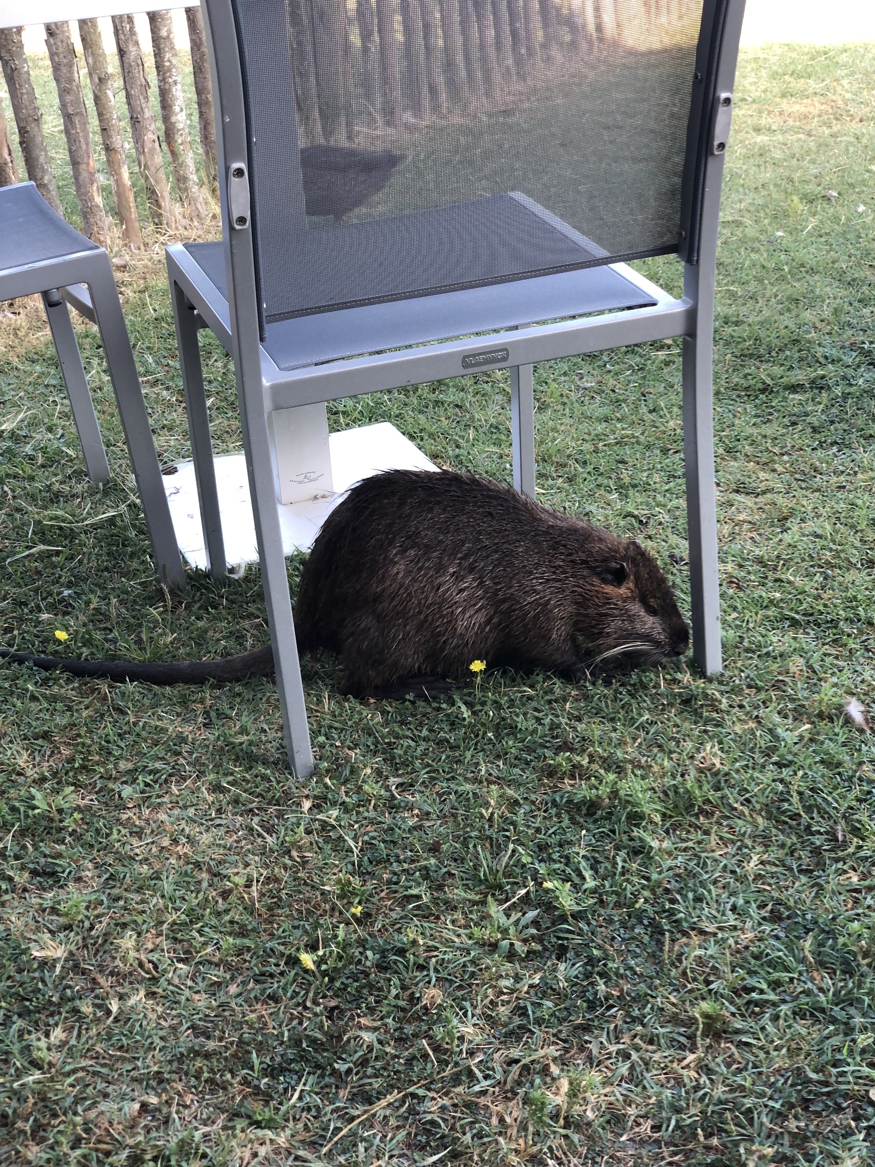 Photo n° 15 de l'avis de BRUNO.A fait le 15/08/2022 à 12:02