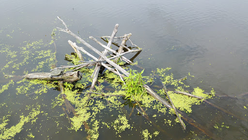 Nature Preserve «The Celery Farm», reviews and photos, Franklin Turnpike, Allendale, NJ 07401, USA