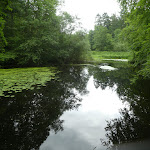 Photo n°2 de l'avis de Jens.� fait le 24/06/2021 à 12:48 sur le  Gasthaus zum Bäcker à Hamburg