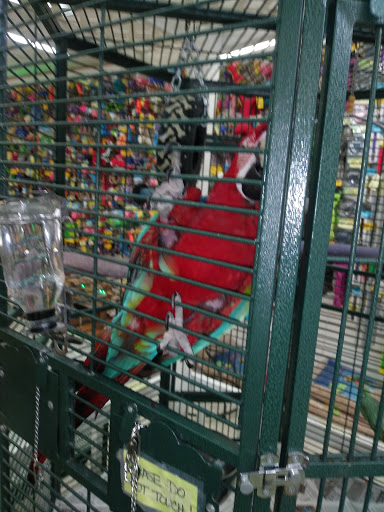 Pet Store «Discount Pet & Supplies», reviews and photos, 16320 Middlebelt Rd, Livonia, MI 48154, USA