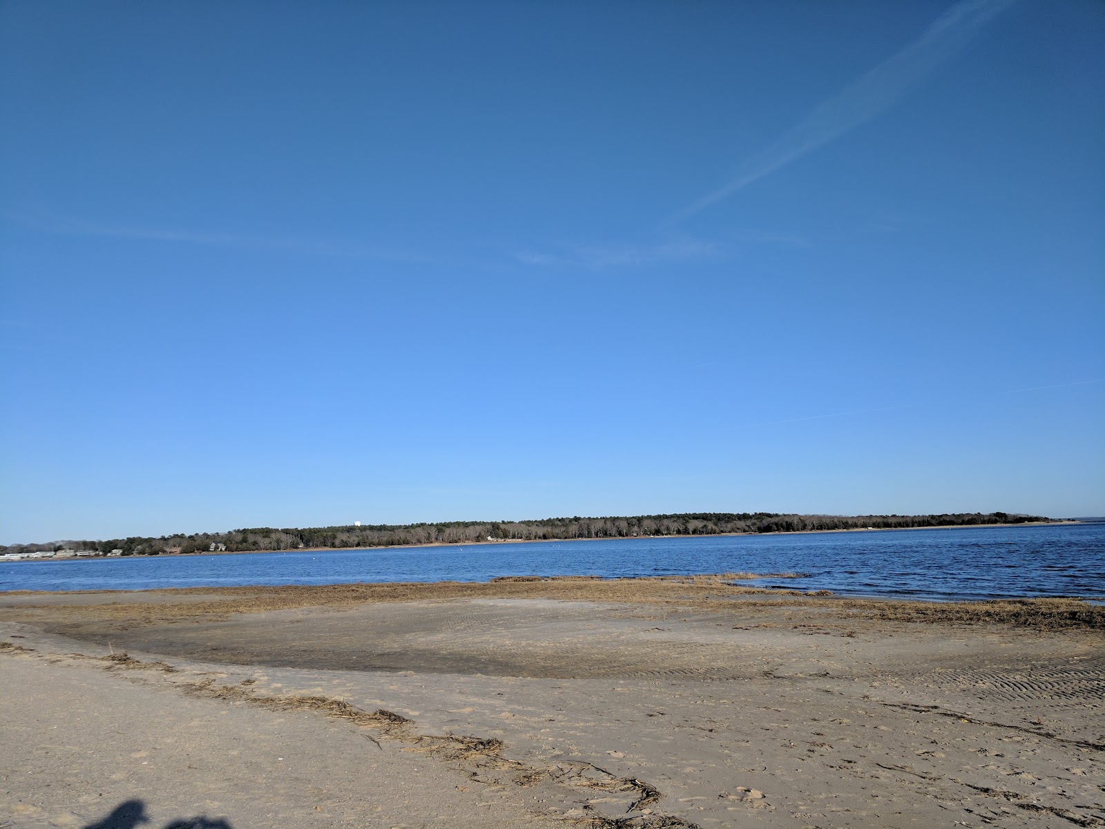 Fotografija Swift's Beach z prostorna obala