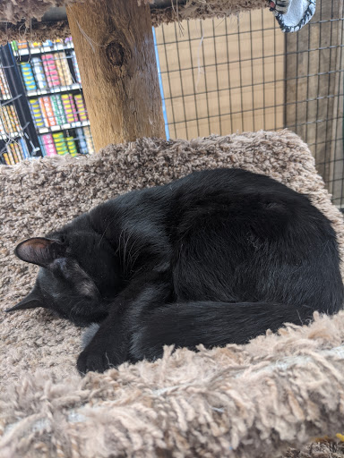 Pet Supply Store «Premier Pet Supply», reviews and photos, 15399 Merriman Rd, Livonia, MI 48154, USA