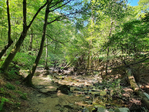 Prachtige trail à Francheville