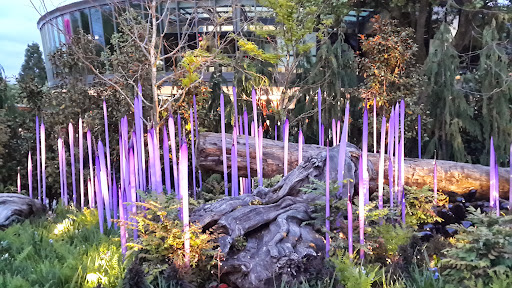 Event Venue «Seattle Center», reviews and photos, 305 Harrison St, Seattle, WA 98109, USA