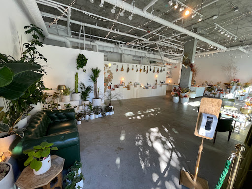 Florist «Ampersand», reviews and photos, 80 Albion St, San Francisco, CA 94103, USA