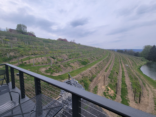 Vineyard «Blue Mountain Vineyards & Cellars», reviews and photos, 7627 Grape Vine Dr, New Tripoli, PA 18066, USA