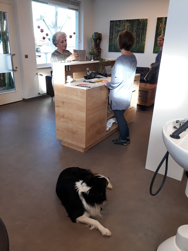 Haar-Team Tschütscher In Brederis