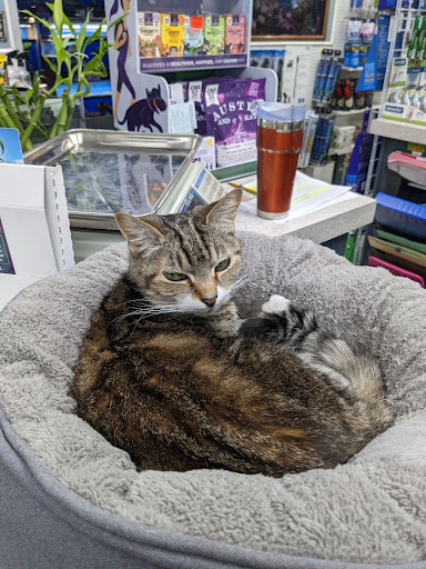 Pet Store «Laconia Pet Center», reviews and photos, 1343 Union Ave, Laconia, NH 03246, USA