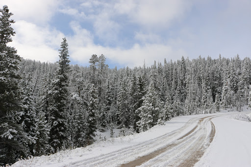 National Forest «Bighorn National Forest», reviews and photos