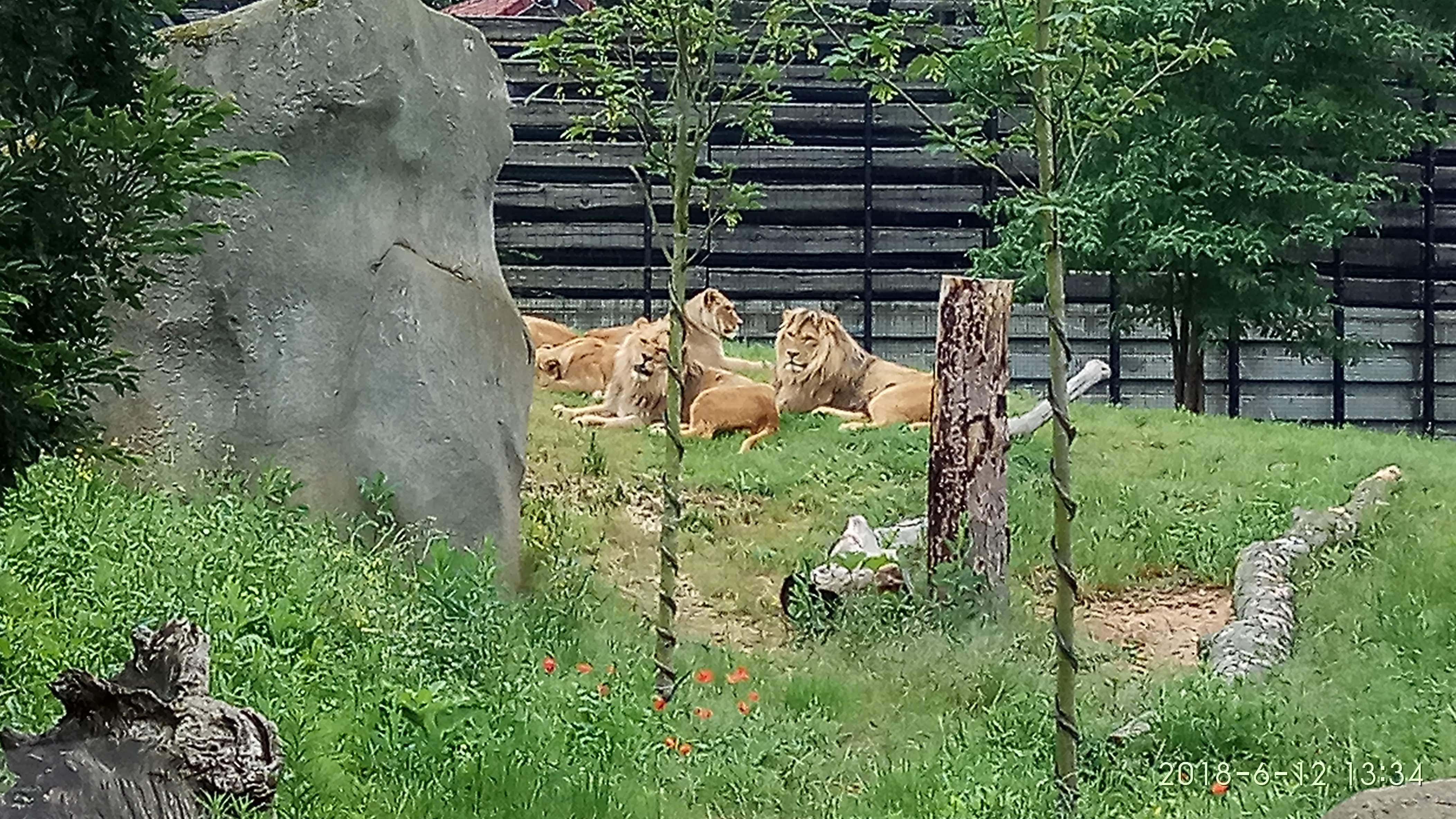 Photo n° 17 de l'avis de Swiss.e fait le 15/06/2018 à 19:24