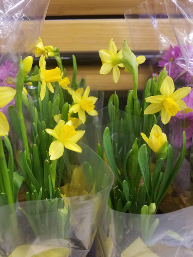 Grocery Store «Grocery Outlet Bargain Market», reviews and photos, 66 N Londonderry Square #300, Palmyra, PA 17078, USA