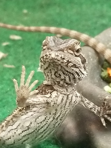 Pet Supply Store «PetSmart», reviews and photos, 157 Levittown Pkwy B, Levittown, PA 19055, USA