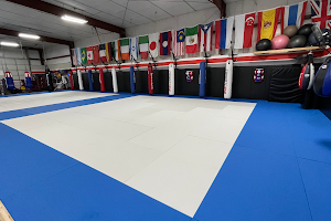Alliance AZO Martial Arts Training Center LLC image