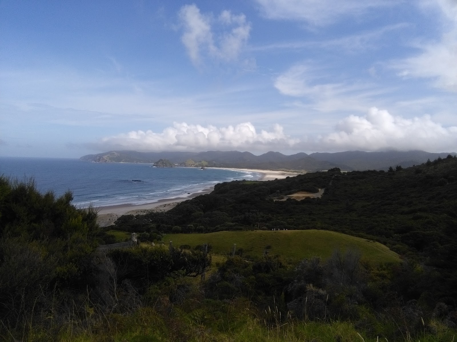 Kaitoke Beach'in fotoğrafı vahşi alan