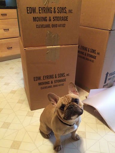 Moving and Storage Service «Eyring Movers», reviews and photos, 638 Moore Rd a, Avon Lake, OH 44012, USA