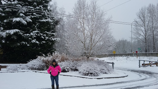 Park «Thomas Teasdale Park», reviews and photos, 601 S 23rd St, Renton, WA 98055, USA