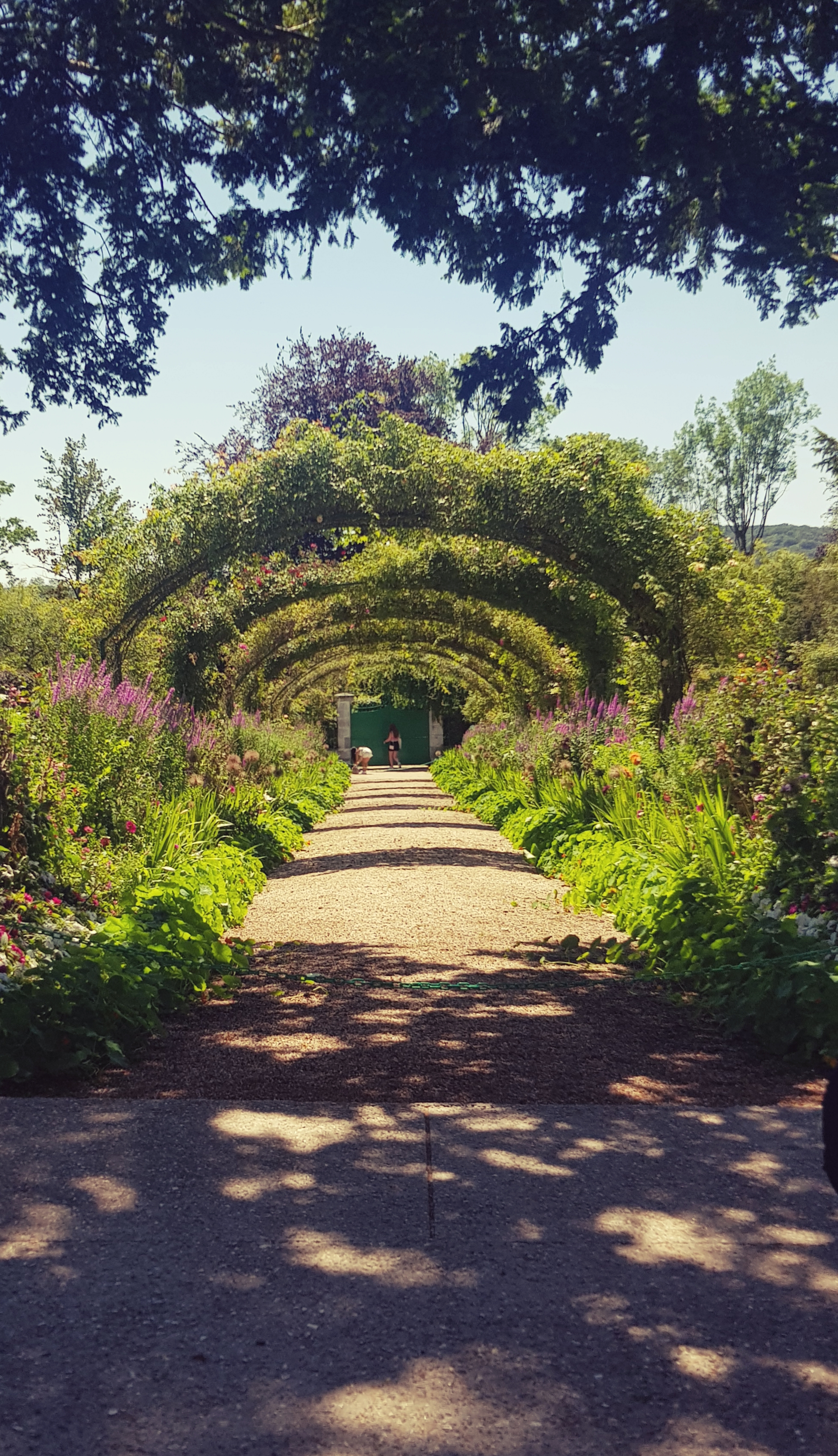 Photo n° 9 de l'avis de Nathanaëlle.a fait le 21/07/2021 à 11:12