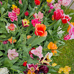 Photo n°14 de l'avis de tania.i fait le 29/04/2024 à 16:52 sur le  Regina Palace Hotel à Stresa