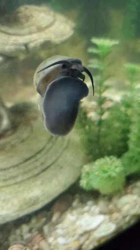 Pet Store «Pet Zone», reviews and photos, 1620 Marion-Mt Gilead Rd, Marion, OH 43302, USA