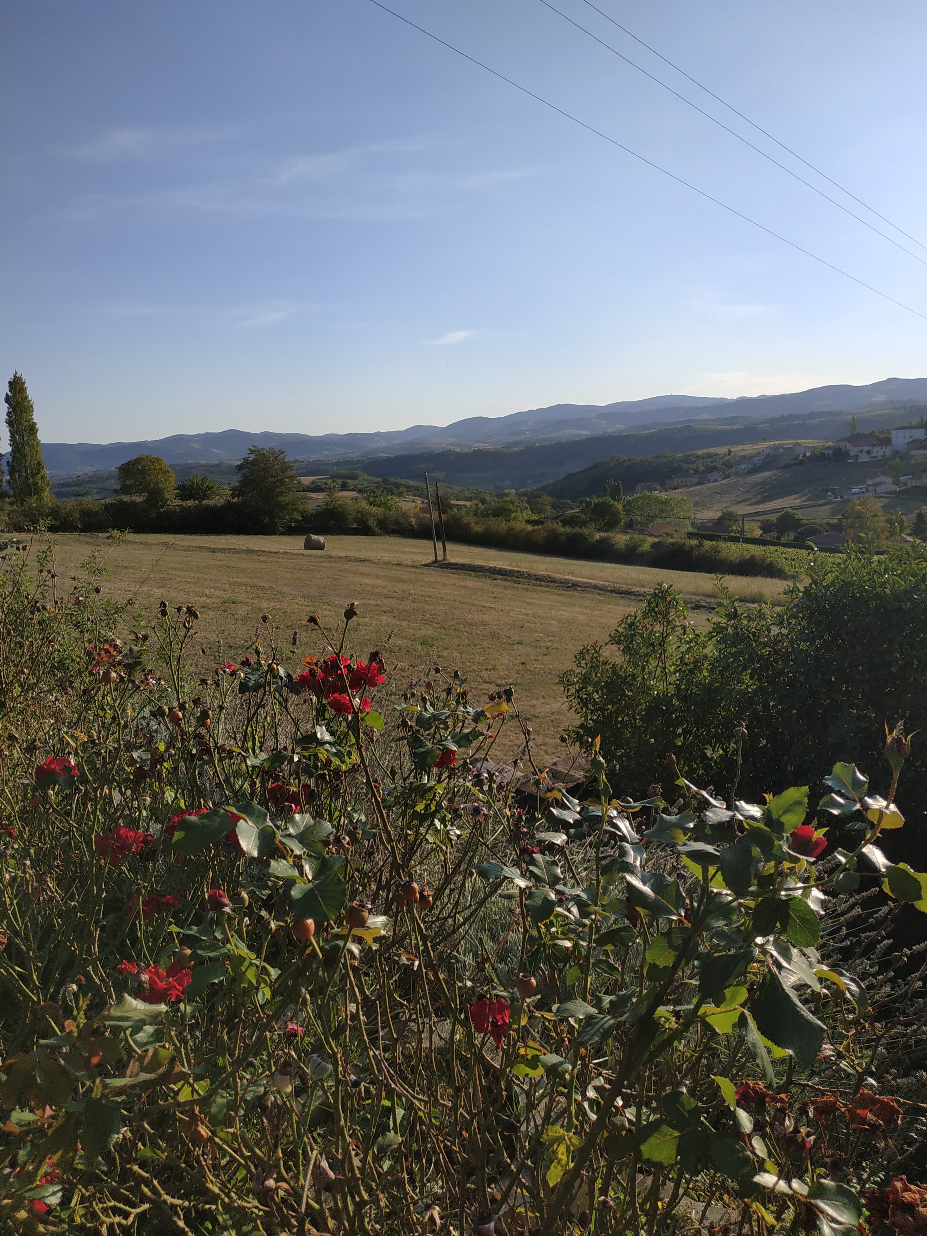 Photo n° 1 de l'avis de Basile.9 fait le 13/09/2020 à 18:07