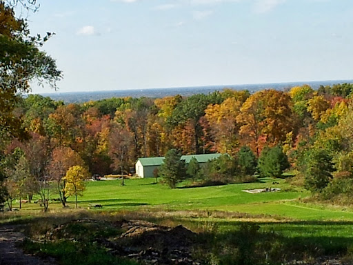 Nature Preserve «Princess Ledges Nature Preserve», reviews and photos, 4361 Spruce Ave, Brunswick, OH 44212, USA