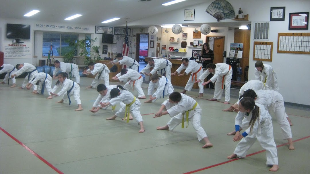 Del Saitos Martial Arts Training
