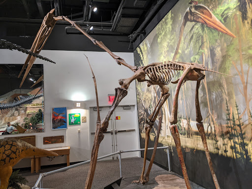 Tourist Attraction «Arizona Museum of Natural History», reviews and photos, 53 N Macdonald, Mesa, AZ 85201, USA