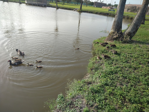 Park «Pendleton Park», reviews and photos, 1427 Morgan Blvd, Harlingen, TX 78550, USA