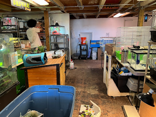 Pet Supply Store «The Animal Connection», reviews and photos, 2550 2550 Judah St & 31st Ave, San Francisco, CA 94122, USA