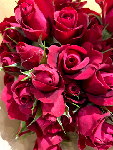 Grocery Store «The Fresh Market», reviews and photos, 1805 Rudy Ln, Louisville, KY 40207, USA