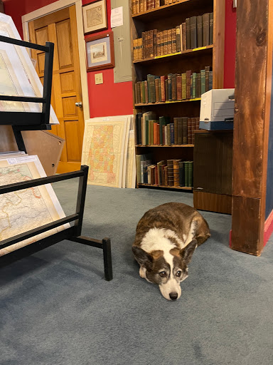 Used Book Store «Blue Whale Books», reviews and photos, 115 W Main St, Charlottesville, VA 22902, USA