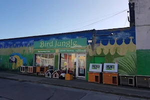 Bird Jungle image