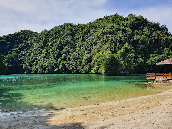 Sea Passion Hotel Beach