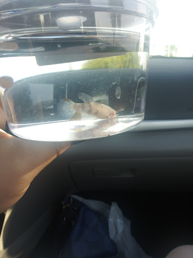 Pet Supply Store «Petco Animal Supplies», reviews and photos, 2901 32nd Ave S, Grand Forks, ND 58201, USA