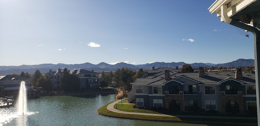 Moving and Storage Service «Your Personal Mover, Inc.», reviews and photos, 879 Brickyard Cir, Golden, CO 80403, USA